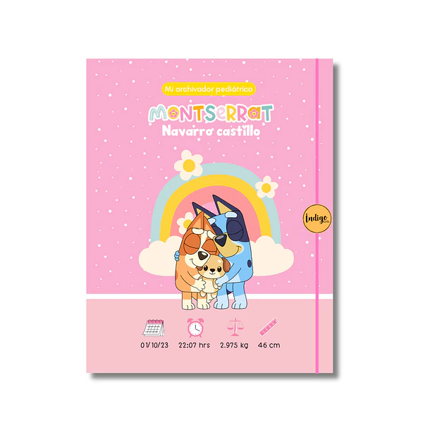Archivador pediátrico Bluey pink