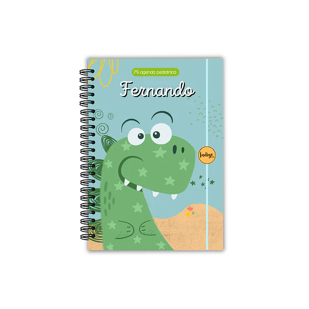 Agenda pediátrica dino 1