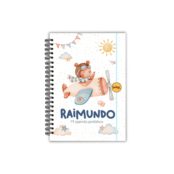 Agenda pediátrica osito aviador