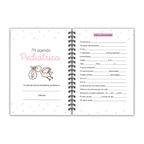 Agenda pediátrica mariposas  pastel 2