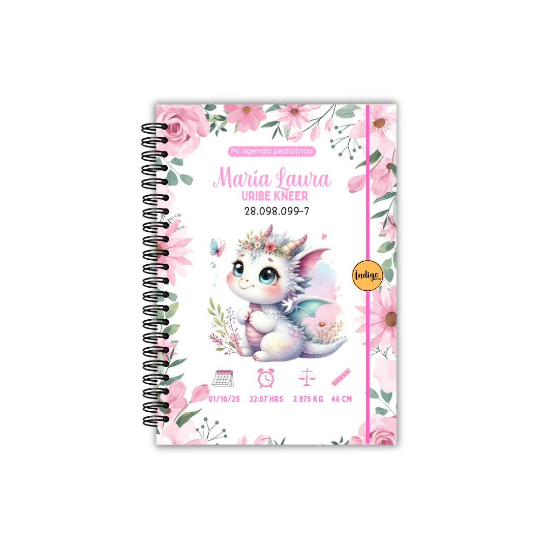 Agenda pediátrica dragona