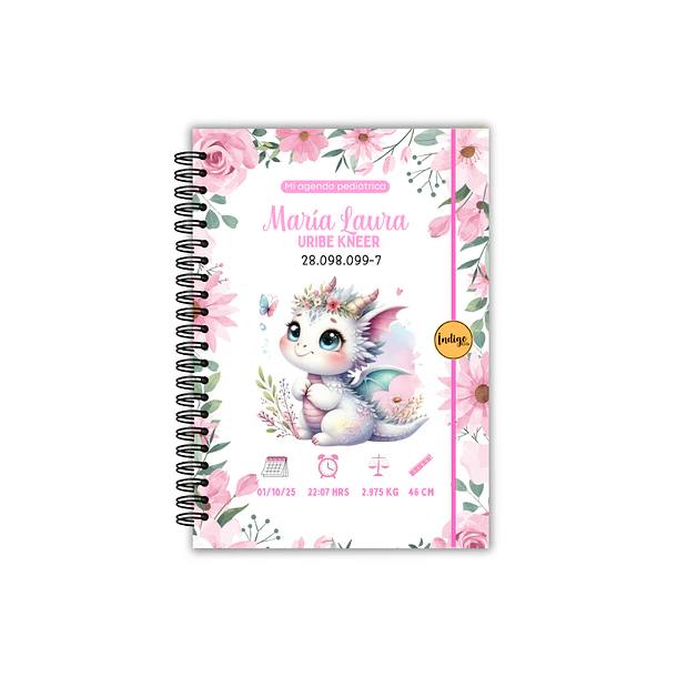 Agenda pediátrica dragona  1