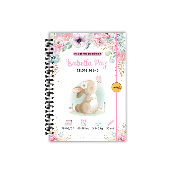 Agenda pediátrica conejita mariposa 1