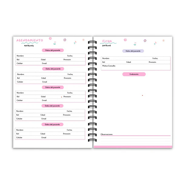 Planner kinesiologa 6