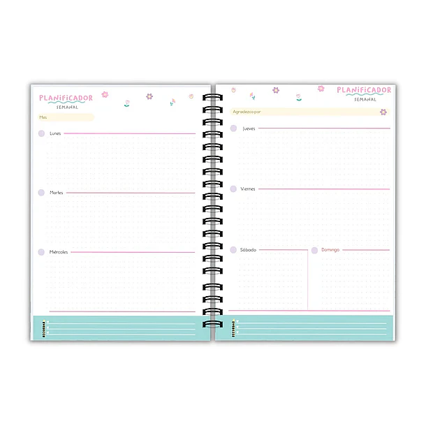 Planner terapeuta ocupacional  4