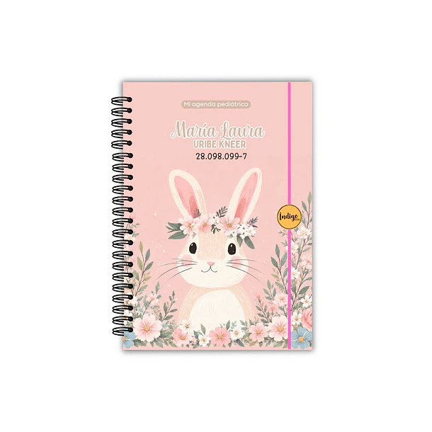 Agenda pediátrica coneja pastel 1