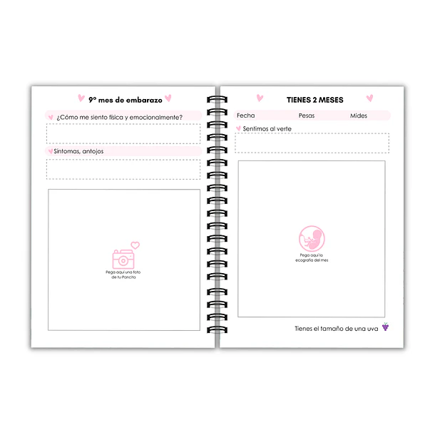 Agenda Prenatal luna dorada 9