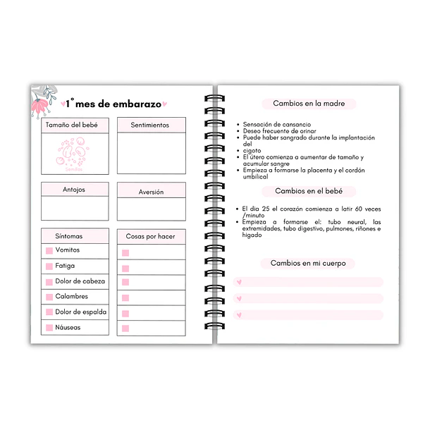 Agenda Prenatal sueños 8