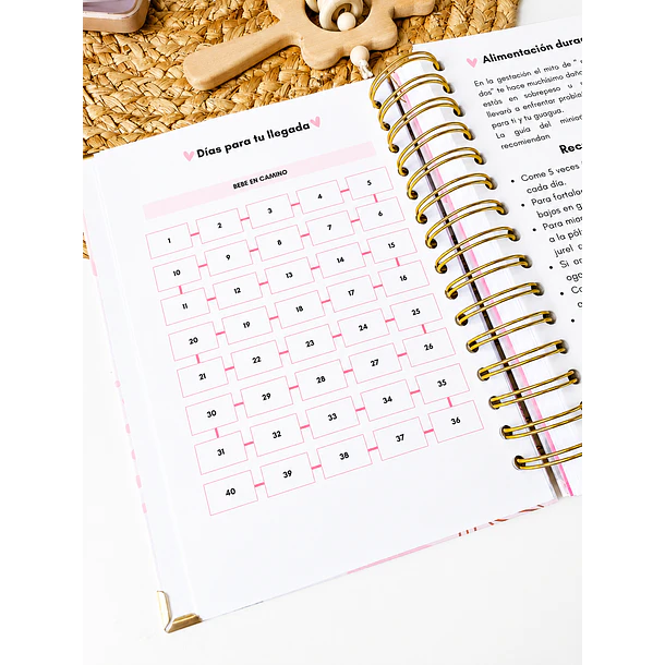 Agenda prenatal Mi dulce espera 7