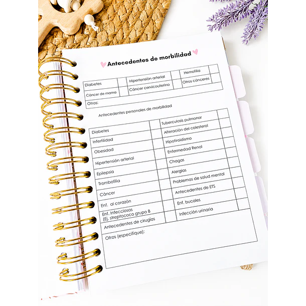 Agenda prenatal Mi dulce espera 8