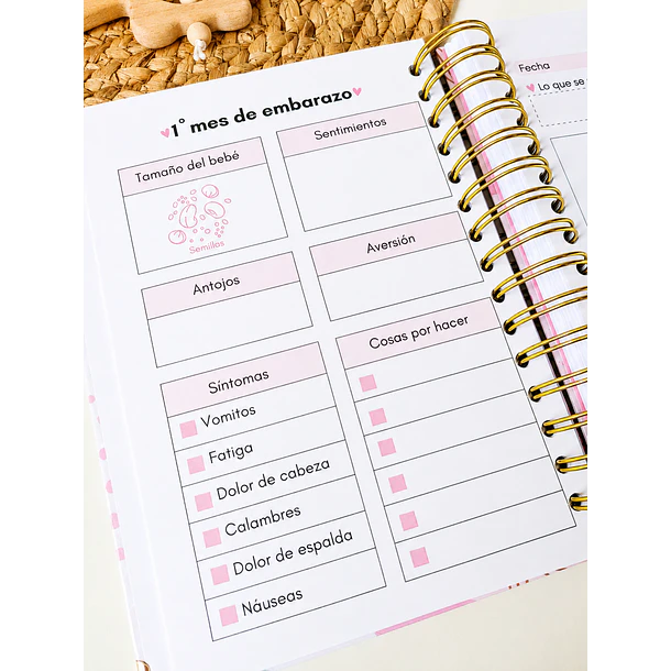 Agenda prenatal Mi dulce espera 13