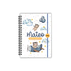 Agenda Pediátrica ositos piloto 1