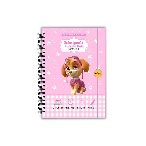 Agenda pediátrica sky paw patrol