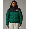RETRO NUPTSE 1996 EVERGREEN
