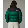 RETRO NUPTSE 1996 EVERGREEN