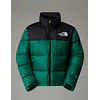 RETRO NUPTSE 1996 EVERGREEN