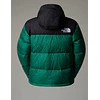RETRO NUPTSE 1996 EVERGREEN