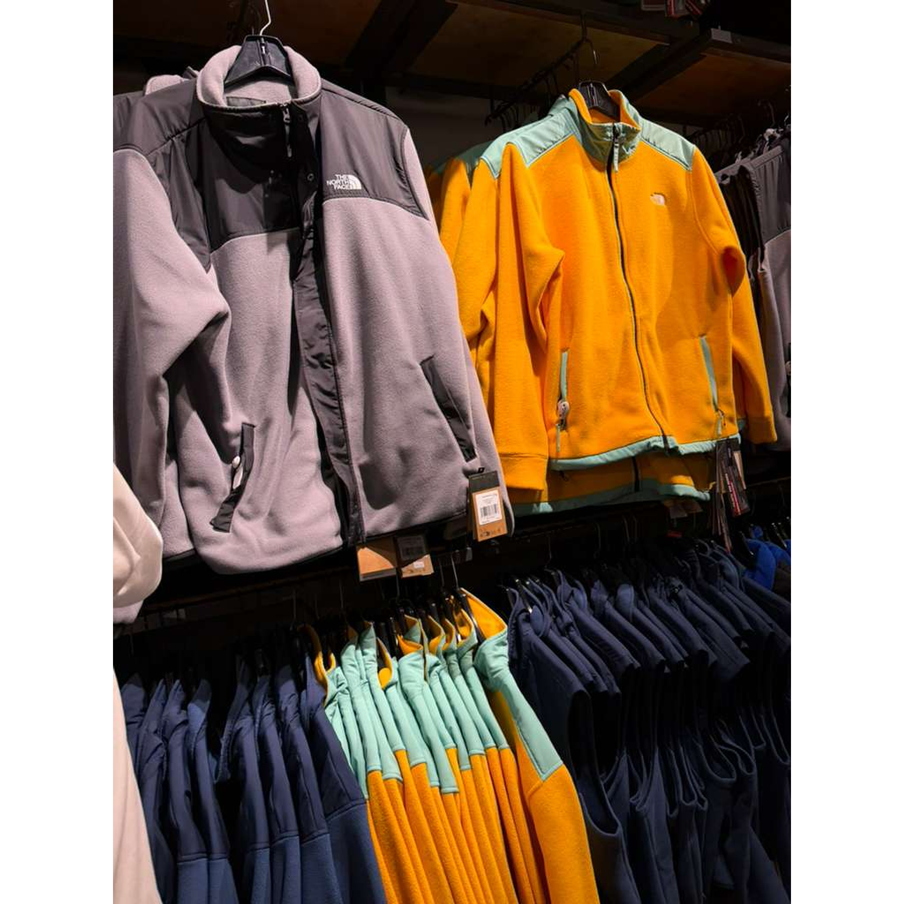 Alpine 200 Summit Gold Men