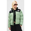 RETRO NUPTSE 1996 SLATE MOSS