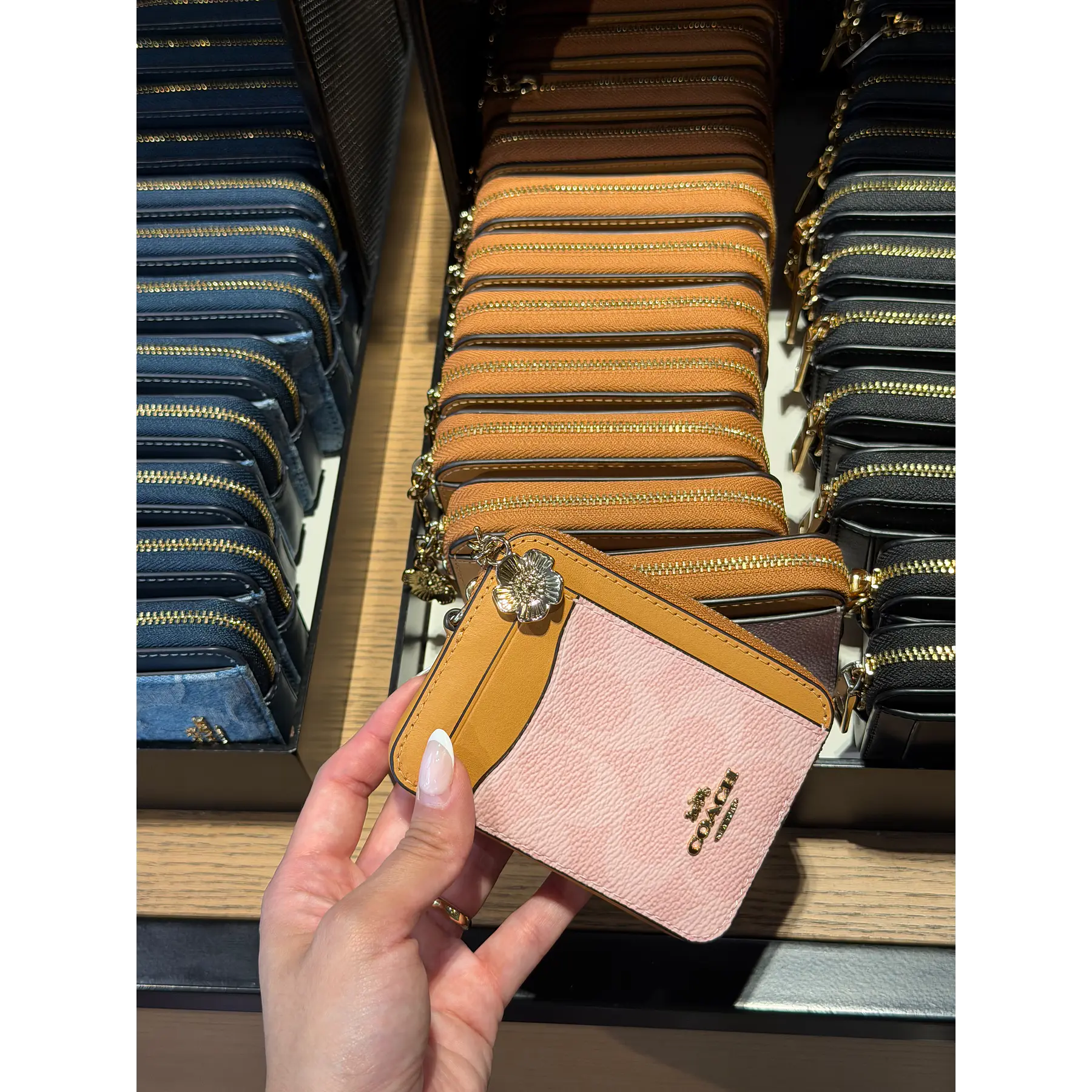 Zip Card Case In Signature Canvas Pink
