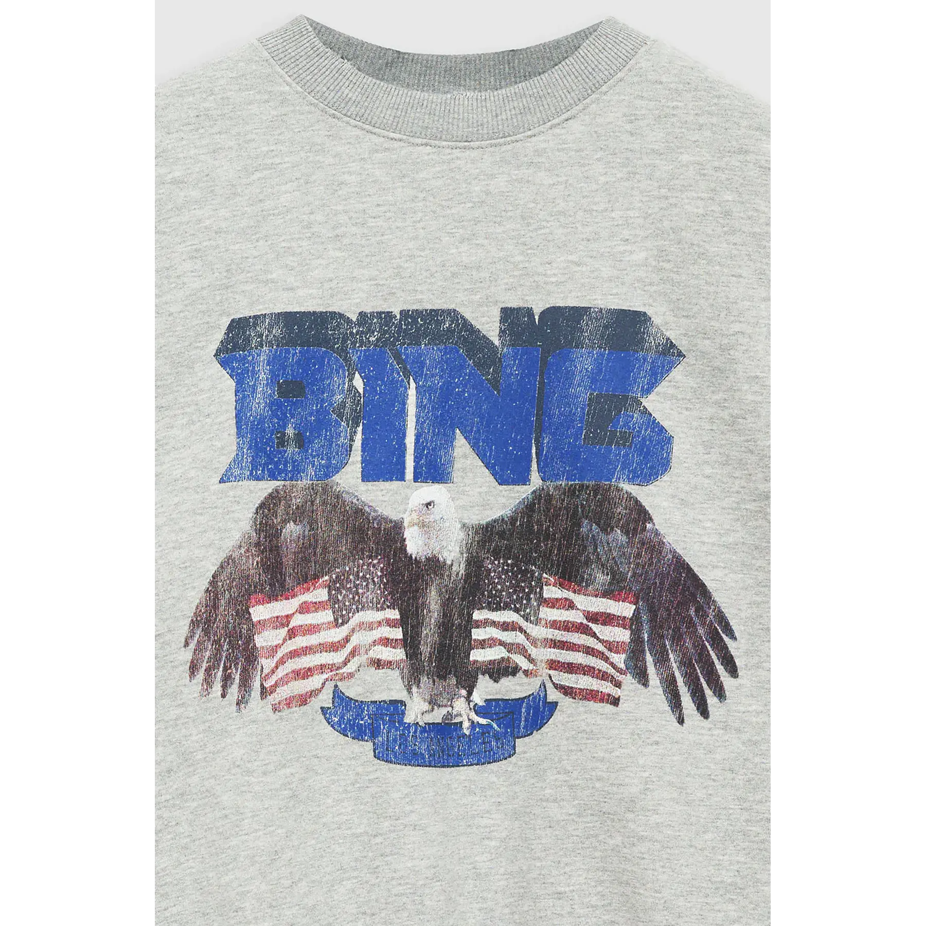Anine Bing - Vintage Bing Sweatshirt in Heather Grey w/ Blue