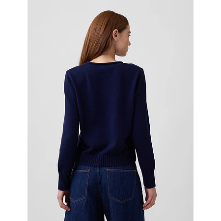 GAP - Sweater Brannan Bear Blue