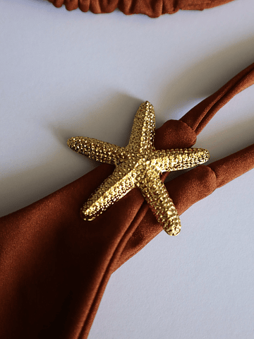 Prendedor estrella dorado 