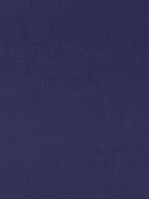 Tecido Liso Azul Marinho 