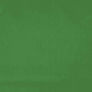 Tecido Liso Verde