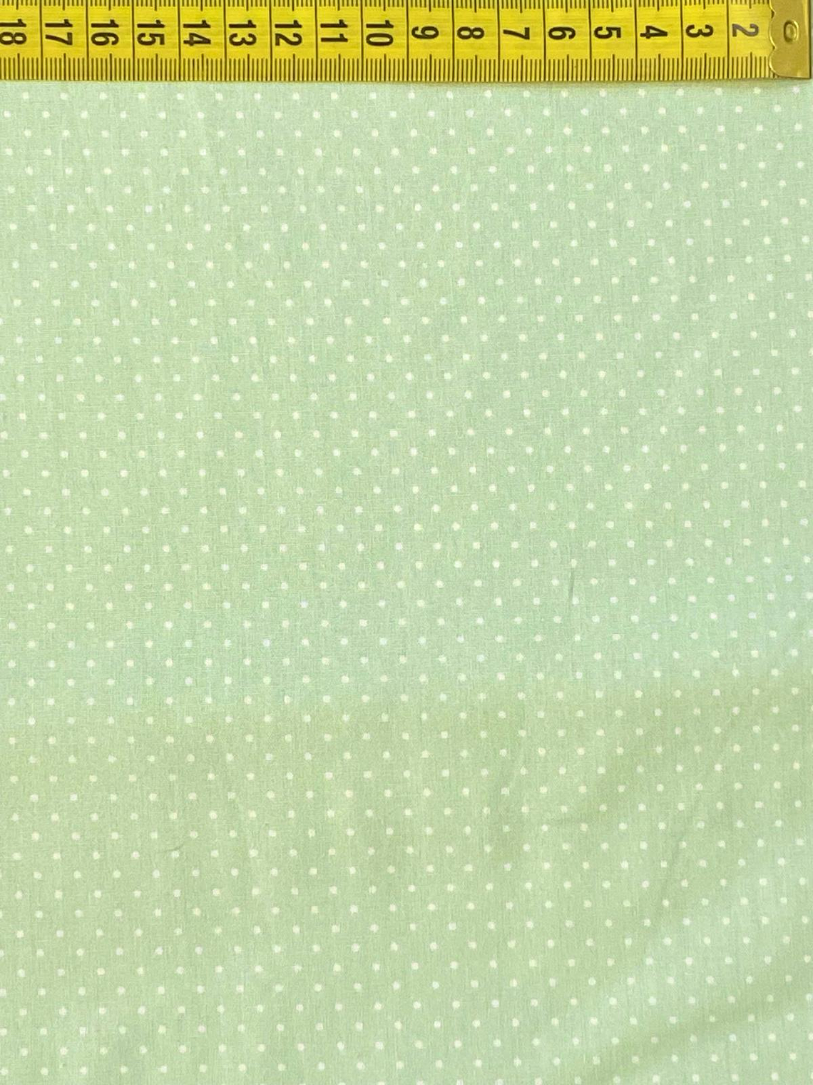 Tecido Verde Menta Com Pintinhas 1