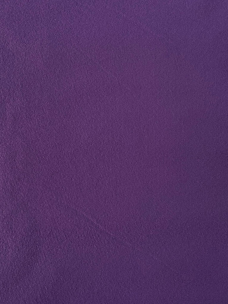 Feltro Violeta  1