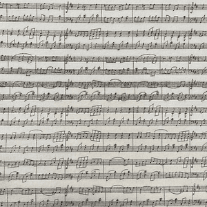 Feltro Branco Com Pautas De Musica 