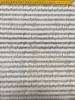 Feltro Branco Com Pautas De Musica 