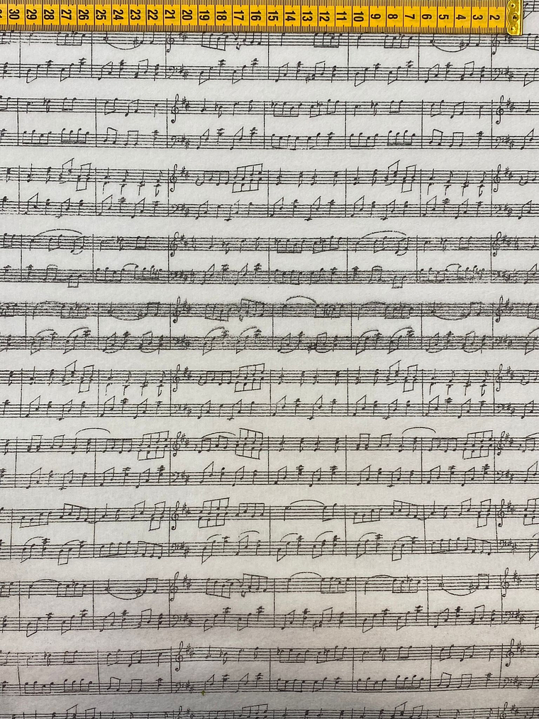 Feltro Branco Com Pautas De Musica  1