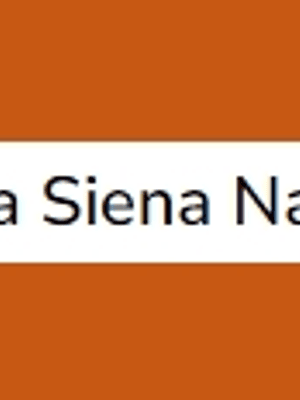 Terra Siena Natural (série 1) 37ml