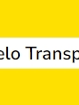 Amarelo Transparente (série 1) 60ml