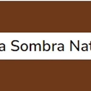 Terra Sombra Natural (série 1) 60ml