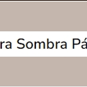  Terra Sombra Pálido (série 1) 60ml