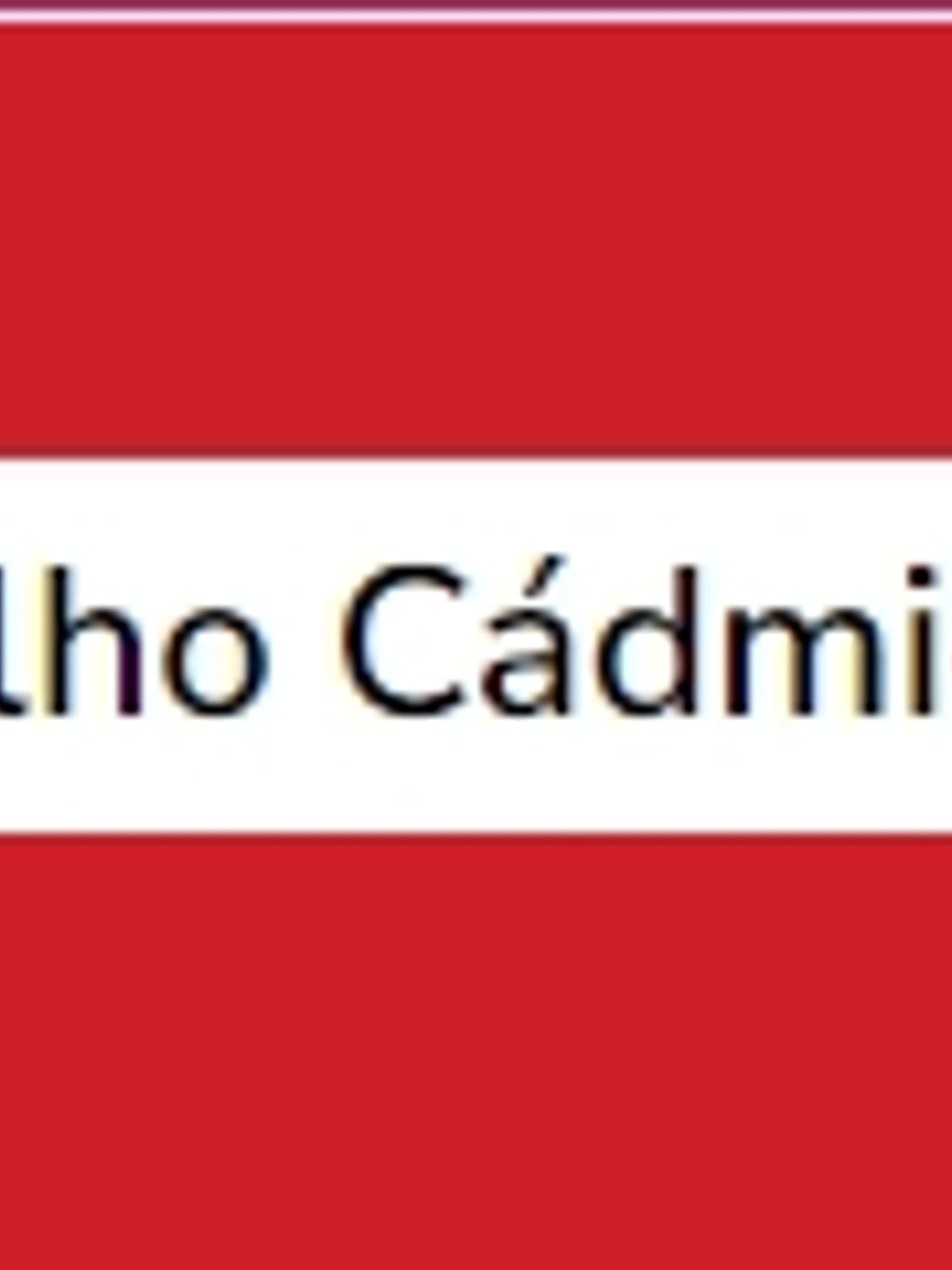 Vermelho Cádmio Claro (série 2) 20ml 1