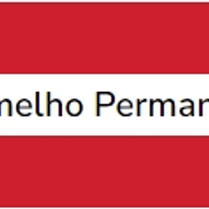 Vermelho Permanente (série 2) 20ml