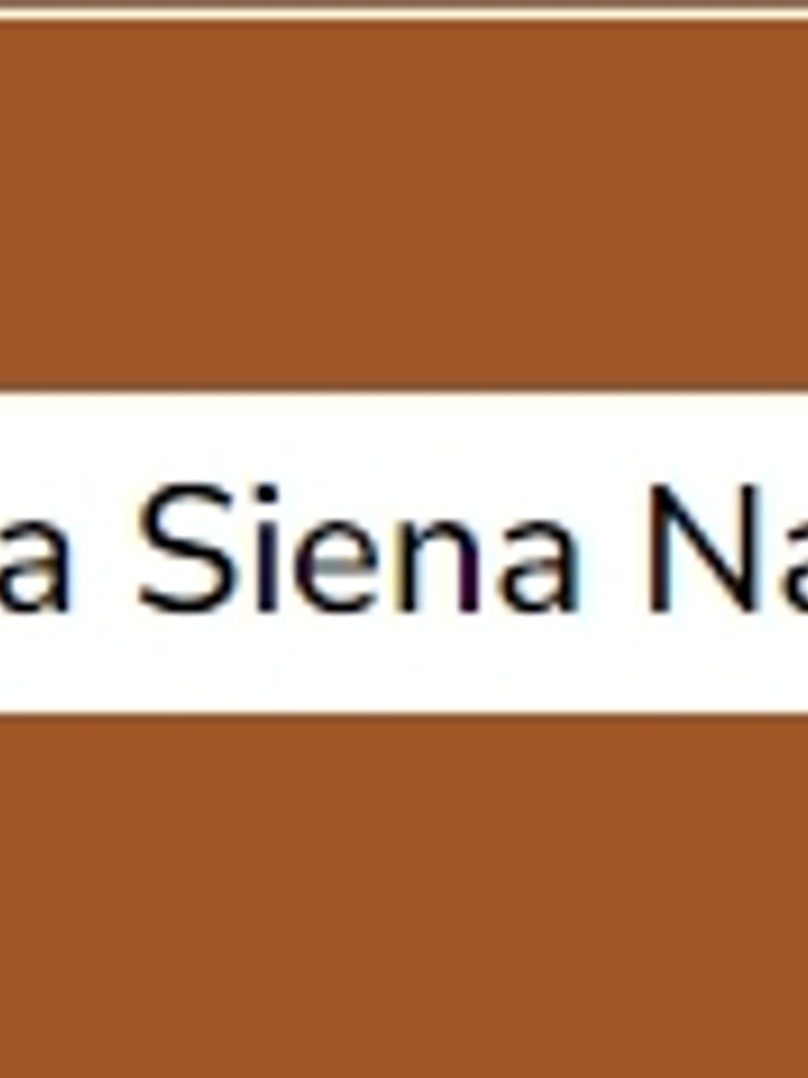 Terra Siena Natural (série 1) 20ml 1