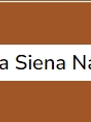Terra Siena Natural (série 1) 20ml