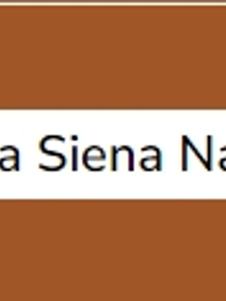 Terra Siena Natural (série 1) 20ml 1