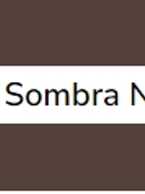 Terra Sombra Natural (série 1) 20ml