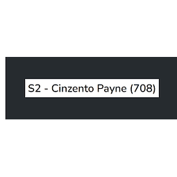 Cinzento Payne (série 2) 20ml