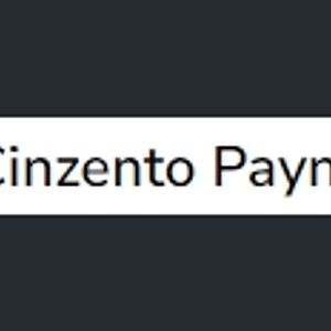 Cinzento Payne (série 2) 20ml