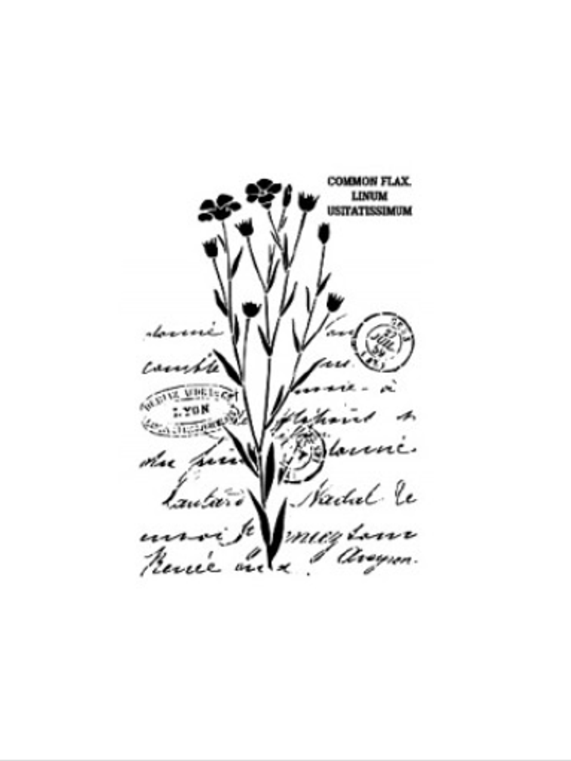 Stencil VEGETAL Cadence 1