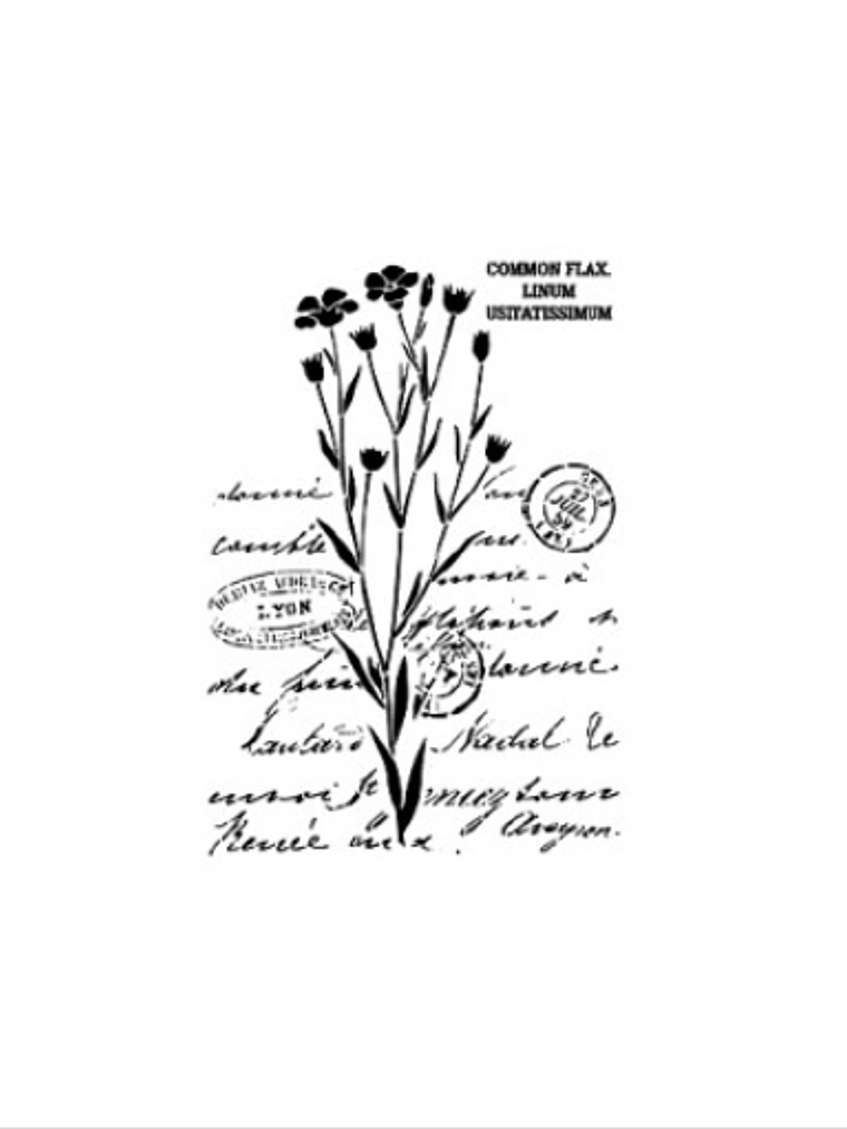 Stencil VEGETAL Cadence 1