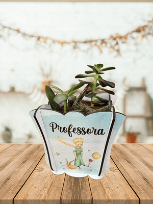 Vaso personalizado com suculentas 