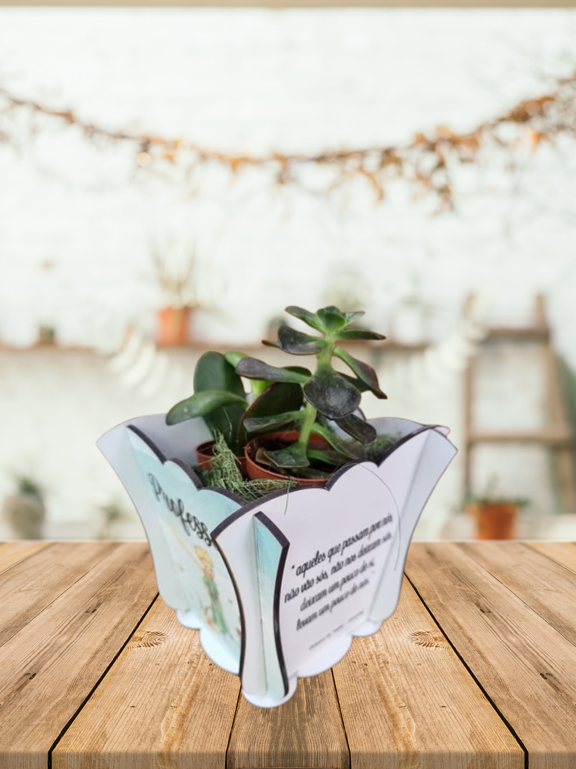 Vaso personalizado com suculentas  2